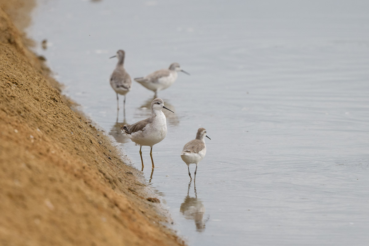 DSC_1673.jpg