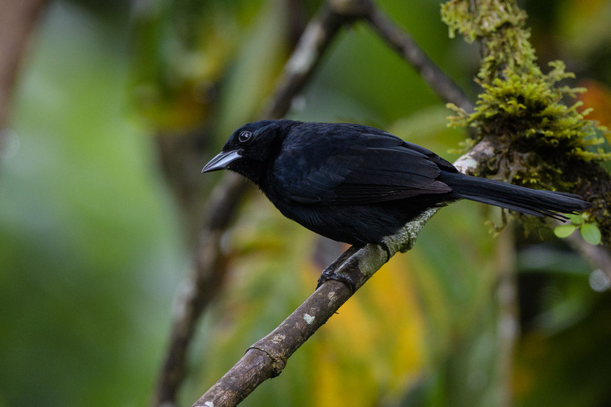 DSC_8910.jpg