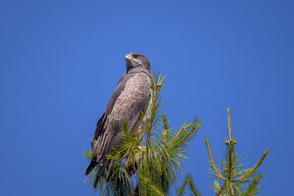 Ecuador-20
