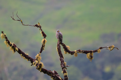 Ecuador-20