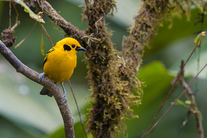 Ecuador-18