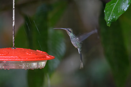Ecuador-18