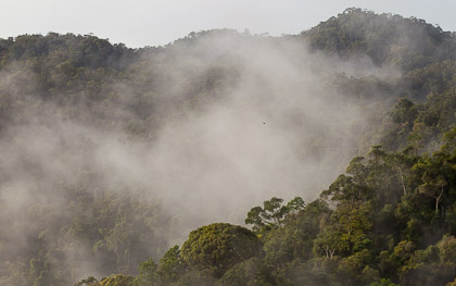 Madagaskar-12